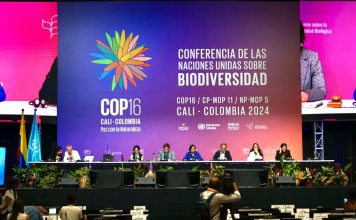 COP16: ¿puede Colombia lograr la paz total?