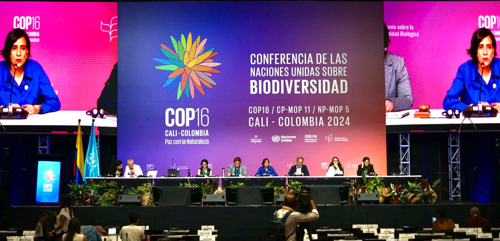 COP16-1