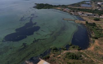 Cuenca del Lago de Maracaibo, la más afectada por el calentamiento en Sudamérica