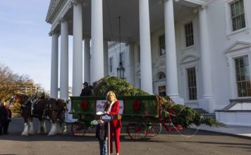 Un abeto que resistió al huracán Helene será el árbol de Navidad de la Casa Blanca