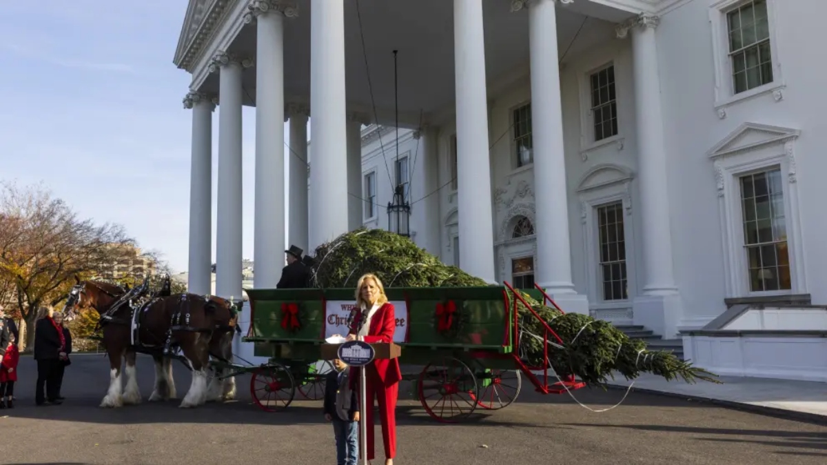 Un abeto-árbol de Navidad de la Casa Blanca