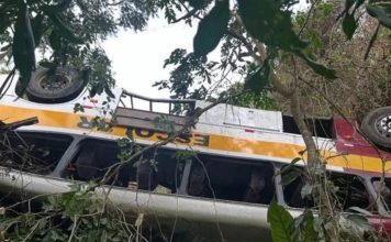 Tragedia en Brasil: al menos 23 personas murieron en accidente de autobús escolar