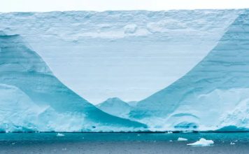 Cómo el iceberg más grande del mundo se convirtió en noticia y acabó transformando el océano que lo rodeaba