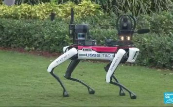 Perros robot velan por la seguridad de Donald Trump