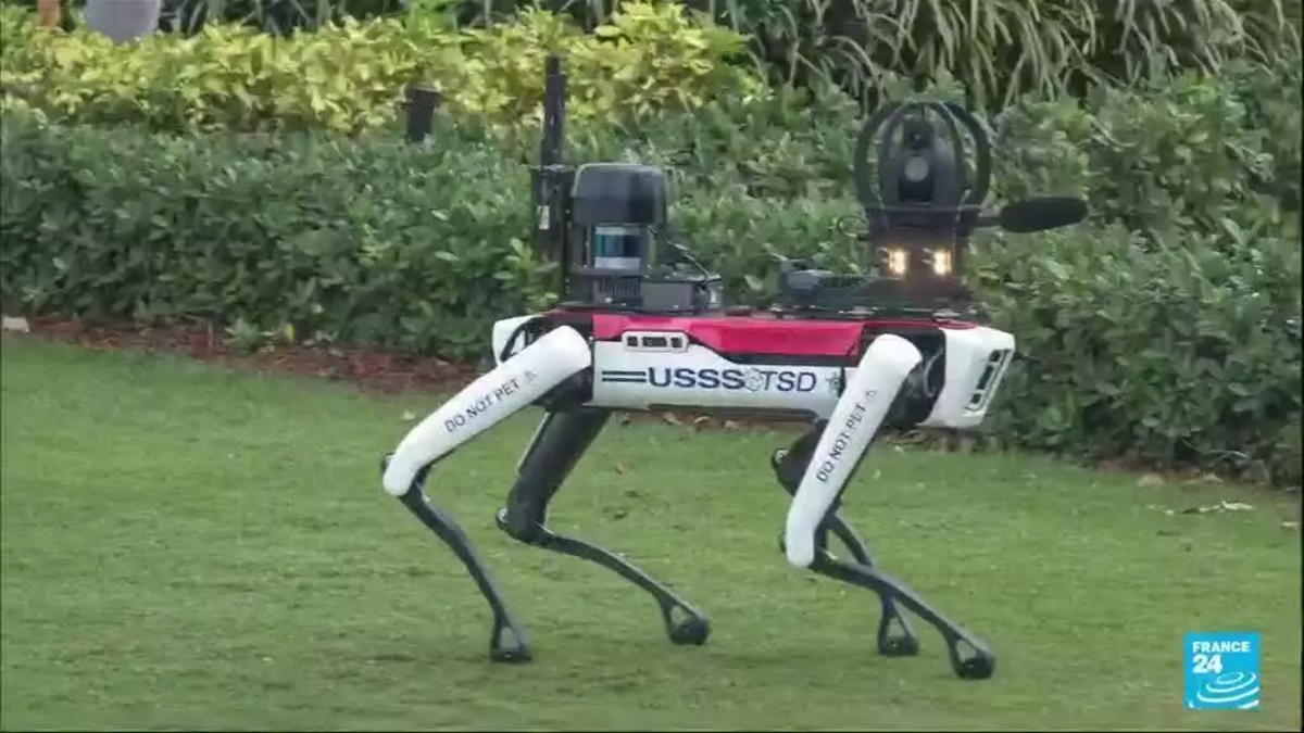 Perros robot velan por la seguridad de Donald Trump