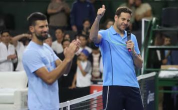 Del Potro venció a Djokovic en su retirada del tenis