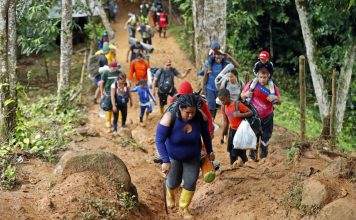 Tránsito de migrantes por la selva del Darién experimentó una disminución durante el 2024