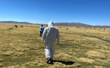 Venezolana murió al intentar cruzar la frontera de Chile