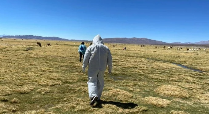 Venezolana muere en la frontera de Chile