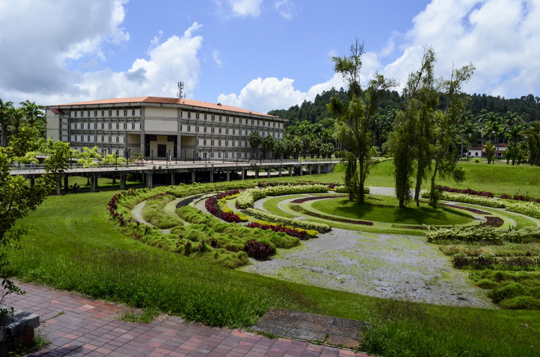 Profesores denuncian «la entrega definitiva» de la Universidad Simón Bolívar al gobierno de turno