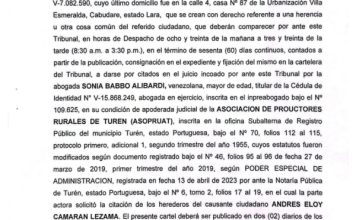 Edicto Acción Mero Declarativa de Reconocimiento Judicial de Unión Estable de Hecho a los Herederos Desconocidos del De Cujus Francys Alexis Pernia Prieto (8)