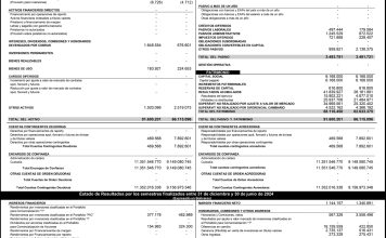 Balance Mercantil Merinvest al 31 de diciembre y 30 de junio 2024