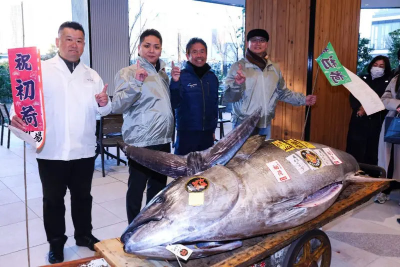 Atún rojo mar comida extinción