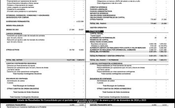 Balance Mercantil MSI Junio y Diciembre 2024