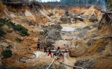 Actividades en el Arco Minero del Orinoco han afectado miles de hectáreas de bosque