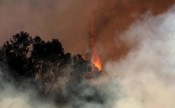 Sube a 16 la cifra de muertos por los incendios en Los Ángeles