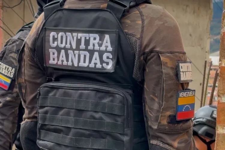 División Contra Bandas