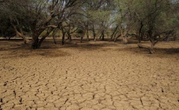 Pronostican disminución de lluvias para 2025 tras un diciembre inusualmente seco