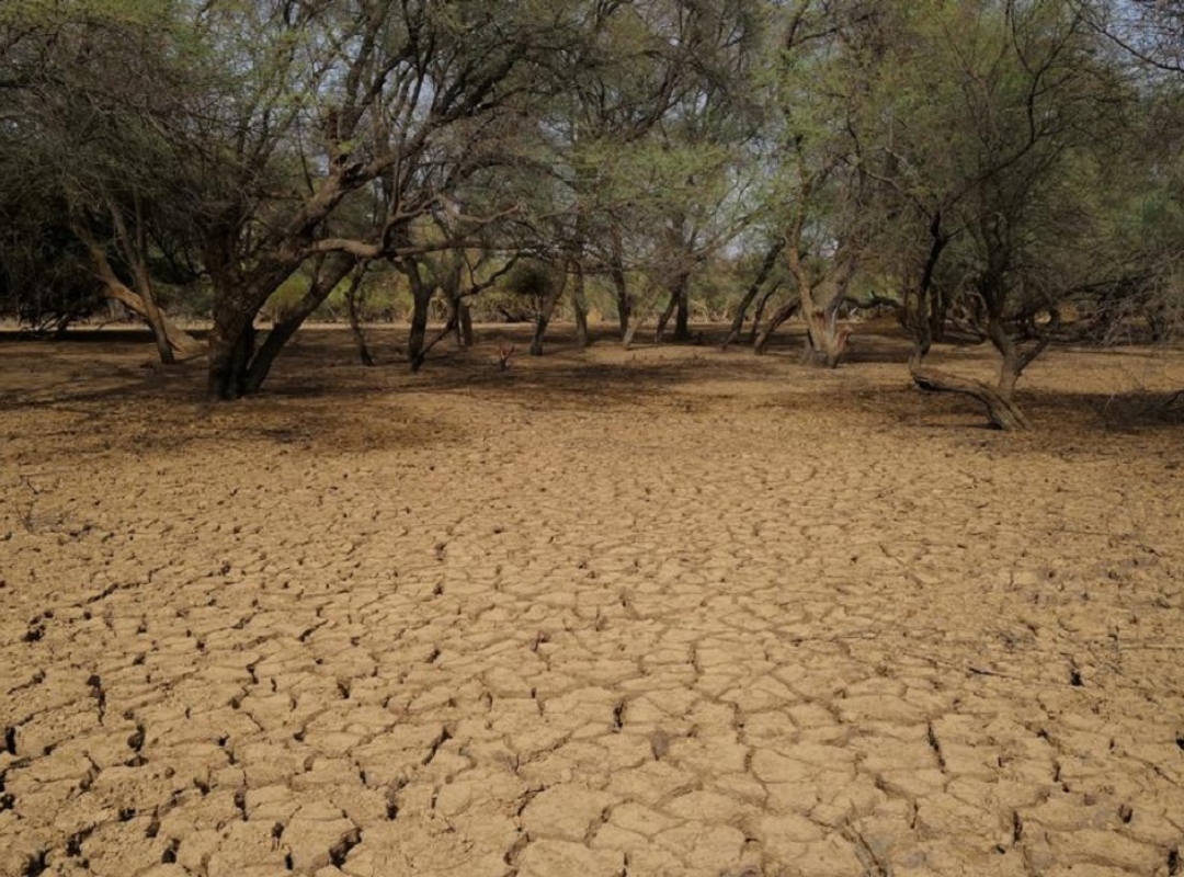 lluvias en 2025