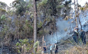 Tres muertos al caer una avioneta en el cerro El Volcán en El Hatillo