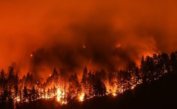 Incendio en California se expande rápidamente, forzando evacuaciones urgentes