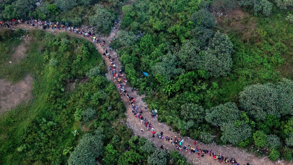 Más de 400.000 migrantes cruzaron la selva del Darién en 2024