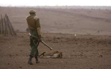 Científicos prevén una hambruna global desatada por el cambio climático