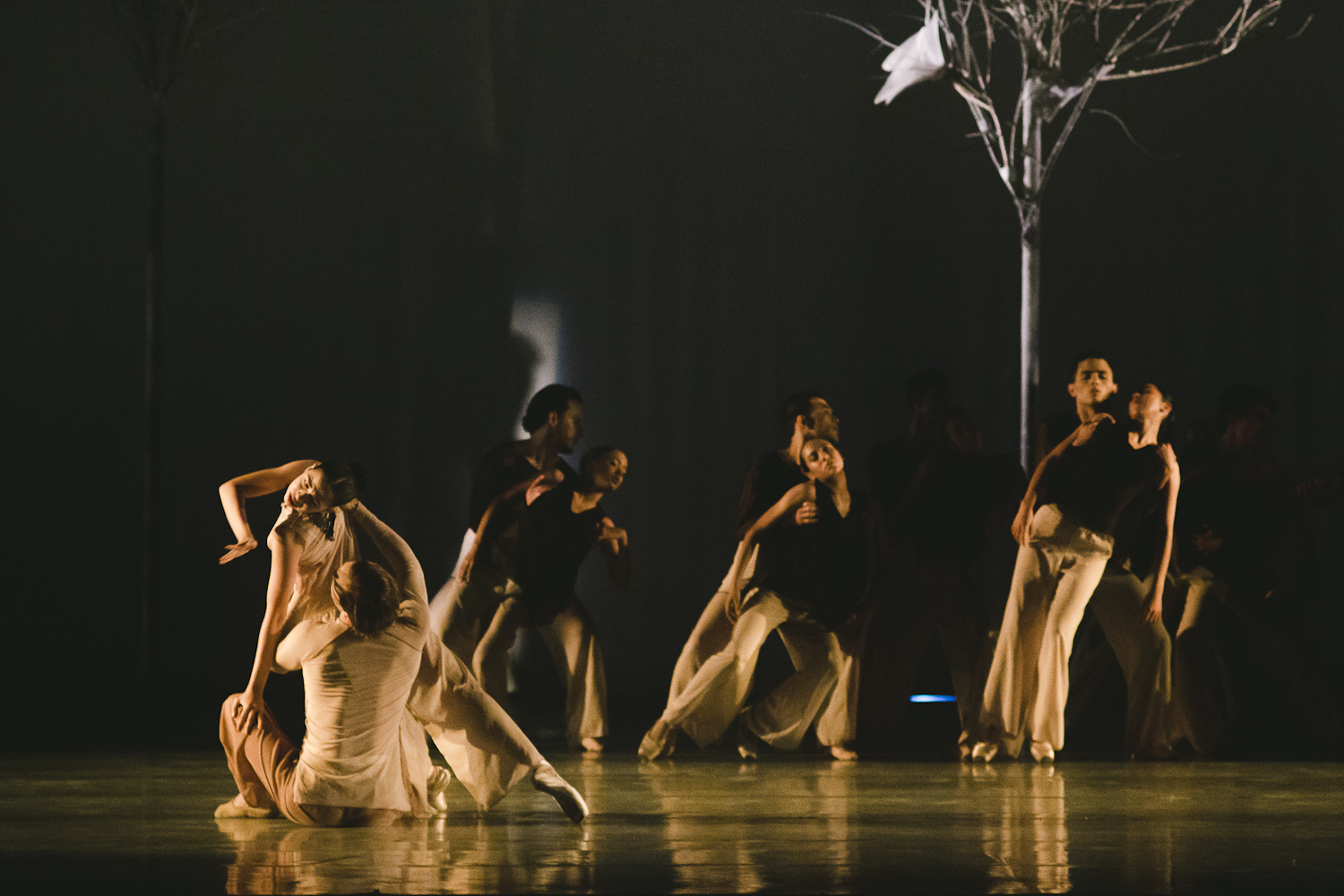 Ballet del Teresa Carreño