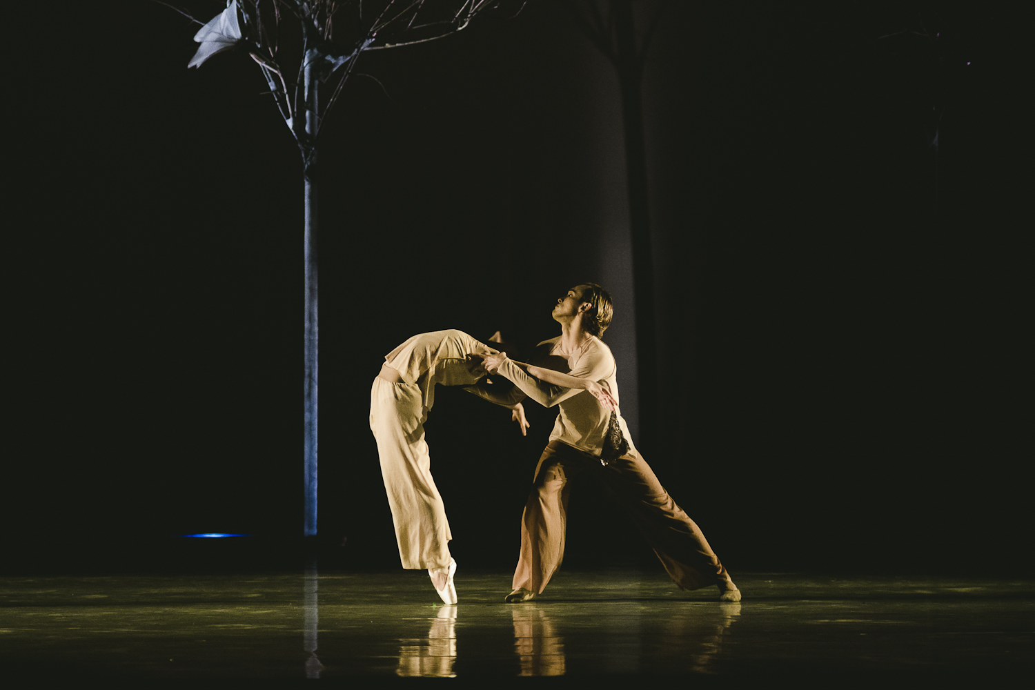 Ballet del Teresa Carreño