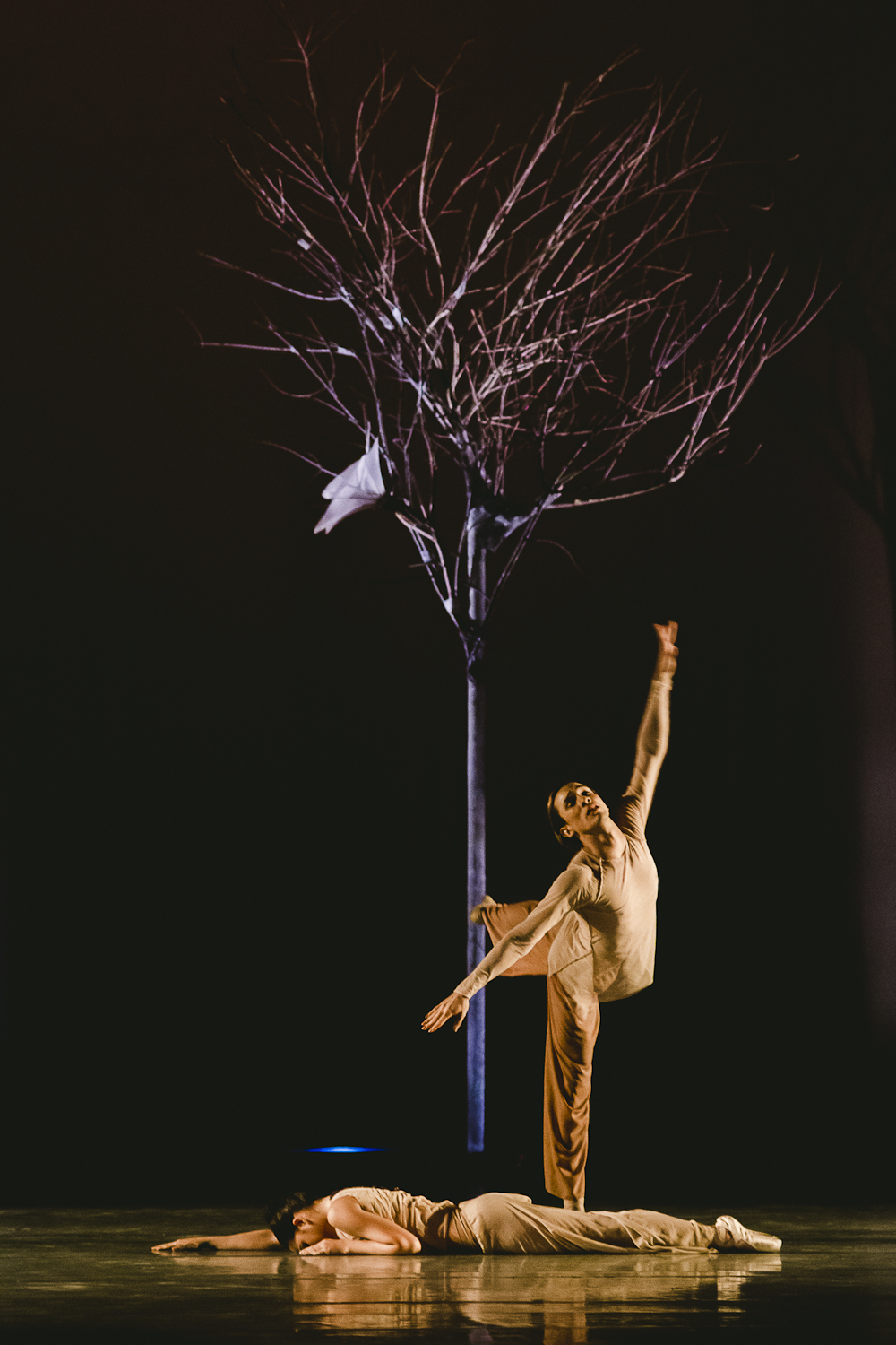 Ballet del Teresa Carreño