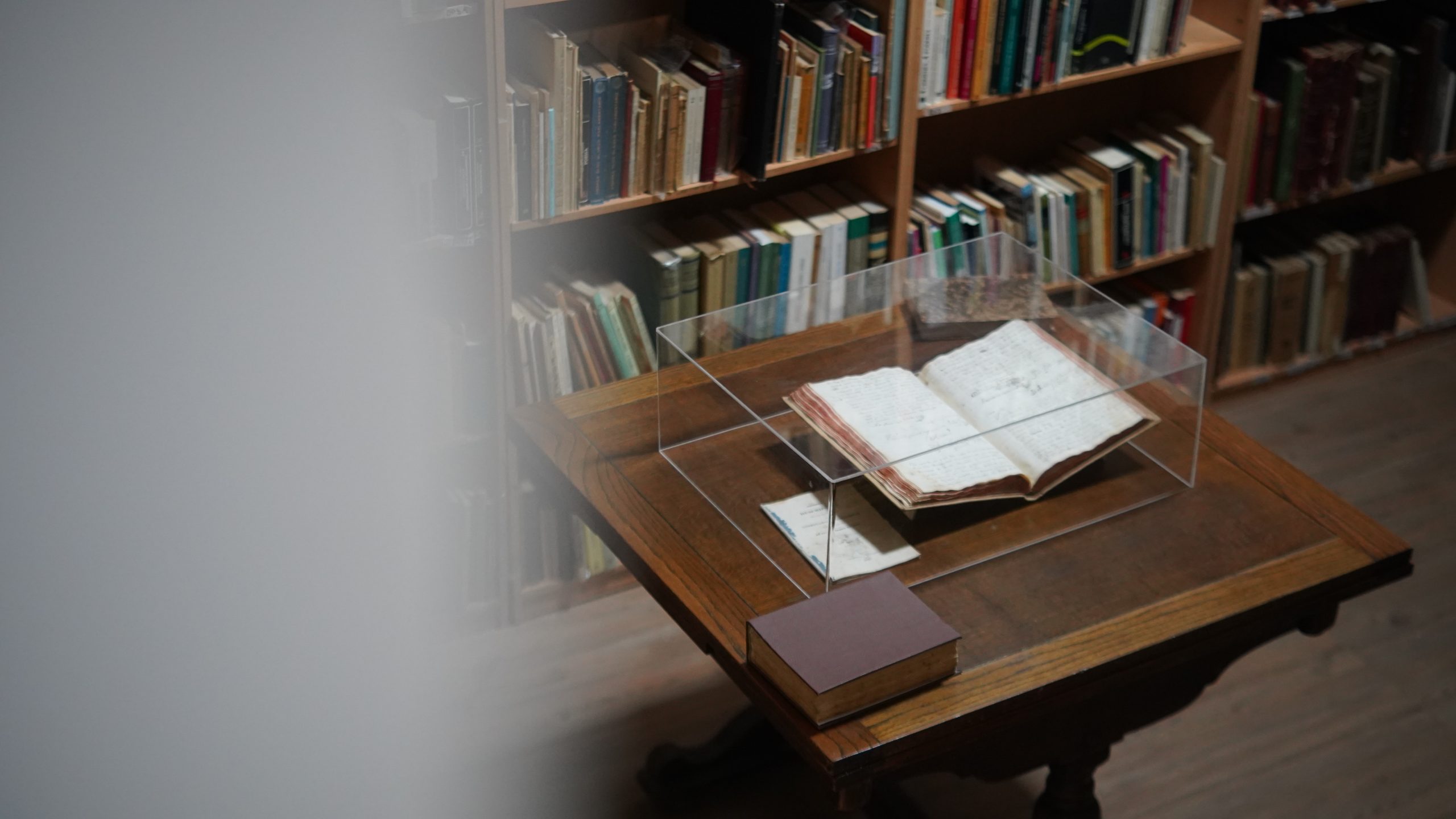 Día del Libro en Venezuela: resistir en la época más oscura