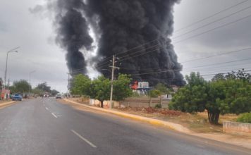 Incendio consume una planta procesadora de camarones en el Zulia: «Solo hubo pérdidas materiales» Incendio consume una planta procesadora de camarones en el Zulia: «Solo hubo pérdidas materiales»