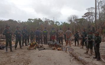 Operativos de la FANB en Amazonas dejan varios detenidos por minería ilegal y tala indiscriminada Operativos de la FANB en Amazonas dejan varios detenidos por minería ilegal y tala indiscriminada