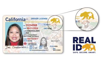 Real ID, el nuevo documento que Estados Unidos exige para vuelos internos Real ID, el nuevo documento que Estados Unidos exige para vuelos internos