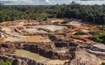 Arrestan a cinco personas en Bolívar por «minería ilegal y la depredación ambiental» Arrestan a cinco personas en Bolívar por «minería ilegal y la depredación ambiental»