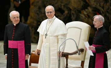 El papa León XIV pidió la liberación de todos los periodistas detenidos en el mundo