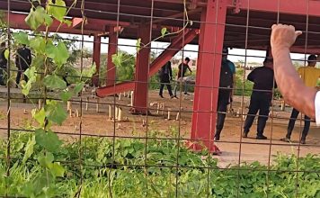 Adolescentes asesinaron a pedradas a un niño en Anzoátegui