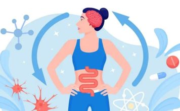 Por qué la conexión entre el intestino y el cerebro es tan importante para nuestra salud (y cómo podemos mejorarla)