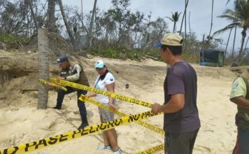 Descubren y protegen el primer nido de tortuga marina en Choroní