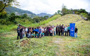 Apamate Fest da inicio a sus actividades en Mérida: jornada de reforestación en el Enlace Vial Germán Briceño Ferrigni Apamate Fest da inicio a sus actividades en Mérida: jornada de reforestación en el Enlace Vial Germán Briceño Ferrigni
