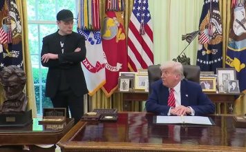 Tesla cae 14% en bolsa tras disputa entre Musk y Trump Tesla cae 14% en bolsa tras disputa entre Musk y Trump